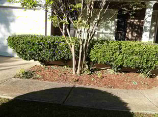 Bush Trimming by Jerry Gross Jr for Gretchen W. in Snellville, GA