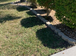Leaf Removal by Kevis Shephard for Nicole S. in Hudson, FL