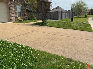 Brett L.'s Lawn Mowing service result