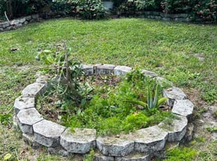 Iong Y.'s Flower Bed Weeding service result
