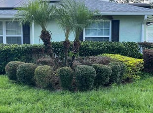 Bush Trimming by Bobby Adisano for Anthony L. in Longwood, FL