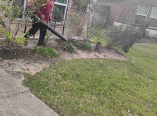 Weeding by Yanet Maciel for Louis C. in Pearland, TX