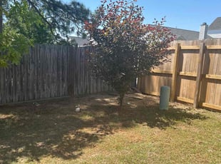 Leaf Removal by Varsel Jacobs for James J. in Lexington, SC