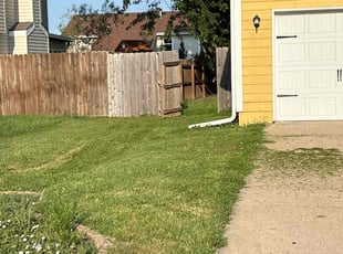 Diana Z.'s Lawn Mowing Service service result