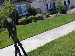 Rolla P.'s Lawn Mowing service result