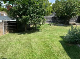 Lisa S.'s Grass Cutting service result