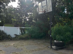 Cleanups by Yared Endifru for Annalessia R. in East Orange, NJ