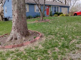 Cleanups by Dylan Whelan for Kristian L. in Raytown, MO