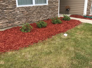 Mulching by Michael Gregory for Tyronsa J. in Charlotte, NC