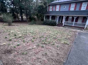 Leaf Removal by Joshua West for Chris V. in Mechanicsville, VA