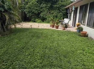 Eylul O.'s Yard Cutting service result