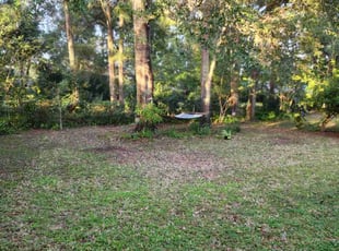 Leaf Removal by Christopher Harper for Joshua A. in Newberry, FL