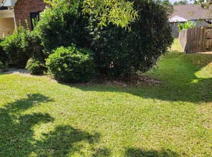 Lisa L.'s Lawn Mowing Service service result