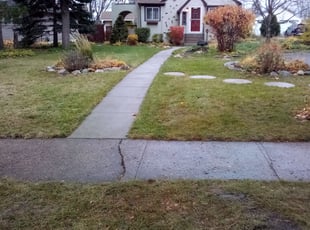 Leaf Removal by Jeffrey Spears for True N. in Minneapolis, MN