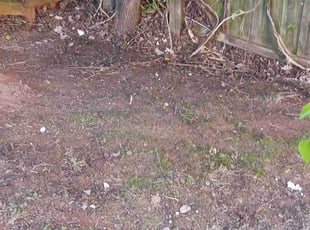 Leaf Removal by Virgil Greene for Alexis W. in Lithonia, GA
