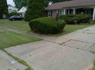 Bush Trimming by Terrance North for Madelaine S. in Cincinnati, OH