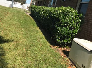 Bush Trimming by Davon Lightfoot for Marie H. in Mechanicsville, VA