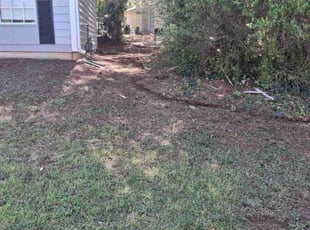 Leaf Removal by Cameron Lyman for Nikki M. in Stone Mountain, GA