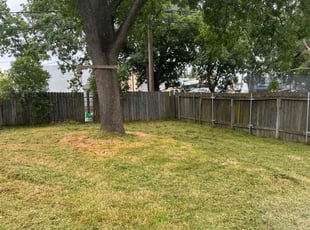 Cleanups by Diego Mojica for Arlen C. in Sacramento, CA