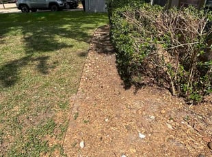 Bush Trimming by Tay Gatson for Leslie D. in Houston, TX
