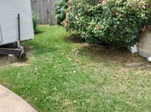 Bush Trimming by Jason Rex for Jacob R. in La Marque, TX