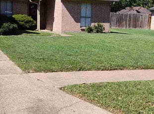Jim S.'s Grass Cutting service result
