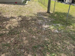 Leaf Removal by Peterson Dariste for Summer S. in North Port, FL
