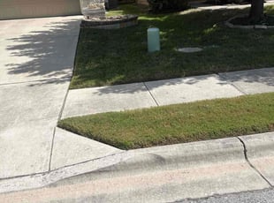 Miriam M.'s Lawn Care service result