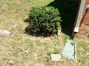 Bush Trimming by Casey Owens for Curtis W. in Moore, OK
