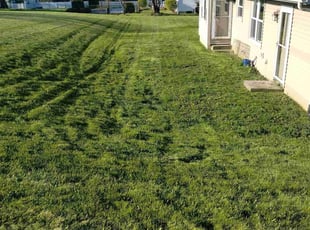 Mary C.'s Grass Cutting service result