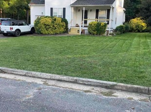 Jeannette L.'s Lawn Service service result