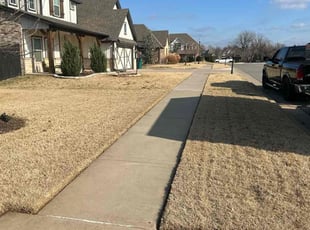 Leaf Removal by Leray Thornton for Grant R. in Edmond, OK