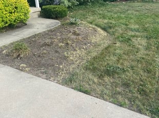 Weeding by Mekkel Jackson for Josh A. in East Grand Rapids, MI