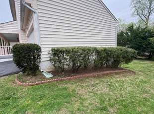 Bush Trimming by Alex Gentry for Dan O. in Stafford, VA