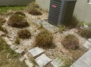 Bush Trimming by William Chavers for Jackie D. in Riverview, FL
