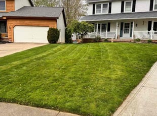 Jackie B.'s Lawn Maintenance service result