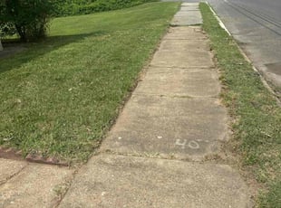 Natalya G.'s Lawn Care service result
