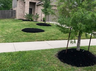 Mulching by Dulce Aguirre for Bojan M. in Porter, TX
