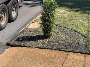Bush Trimming by Kenneth Rome for Brandy H. in Gulf Breeze, FL