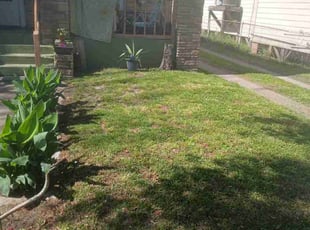 Raymond F.'s Lawn Care service result