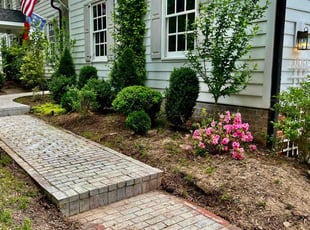 Leaf Removal by Caitlin Hough for Katie P. in Chapel Hill, NC