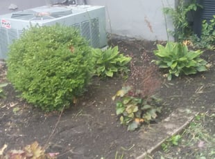 Weeding by Rich Walker for Carrie W. in Cincinnati, OH