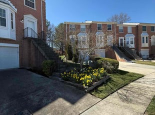 Danie D.'s Lawn Care service result