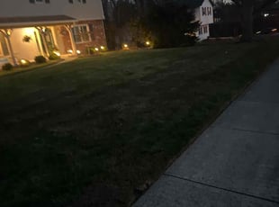 Leaf Removal by Luis Contreras for Dave L. in Carmel, IN