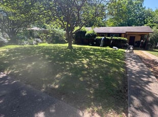 Verna D.'s Lawn Mowing service result