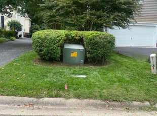 Bush Trimming by Theodore Thomas for Megan J. in Glen Allen, VA