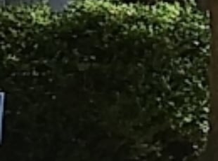 Bush Trimming by Chris Slone for Damian R. in Louisville, KY