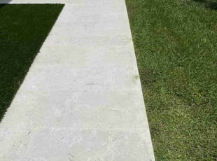 Alfredo C.'s Yard Cutting service result