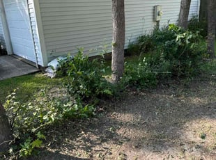 Gladys R.'s Bush Trimming service result