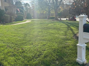 Leaf Removal by Shenarda Scott for Antrone W. in Hopewell, VA